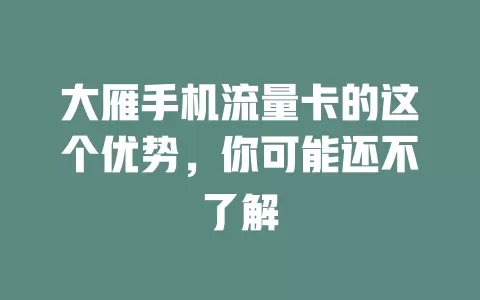 大雁手机流量卡的这个优势，你可能还不了解