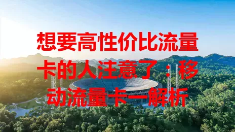 想要高性价比流量卡的人注意了：移动流量卡一解析