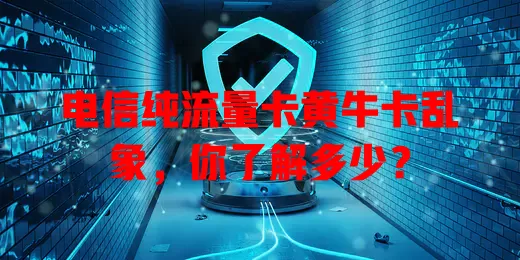 电信纯流量卡黄牛卡乱象，你了解多少？