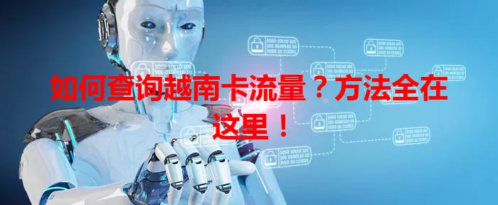 如何查询越南卡流量？方法全在这里！