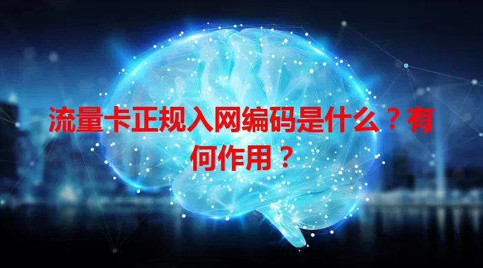 流量卡正规入网编码是什么？有何作用？