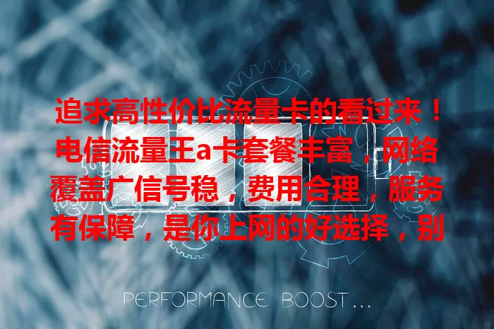 追求高性价比流量卡的看过来！电信流量王a卡套餐丰富，网络覆盖广信号稳，费用合理，服务有保障，是你上网的好选择，别犹豫，赶紧开启畅快网络之旅！