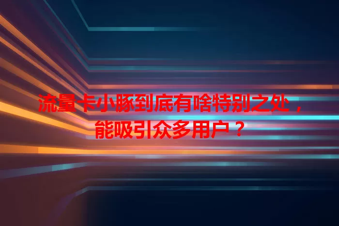 流量卡小豚到底有啥特别之处，能吸引众多用户？