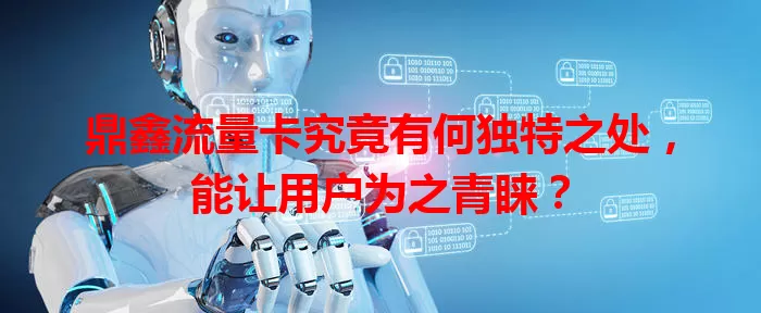 鼎鑫流量卡究竟有何独特之处，能让用户为之青睐？