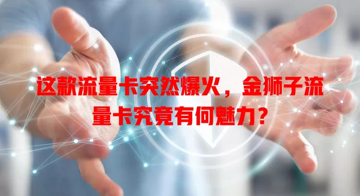 这款流量卡突然爆火，金狮子流量卡究竟有何魅力？