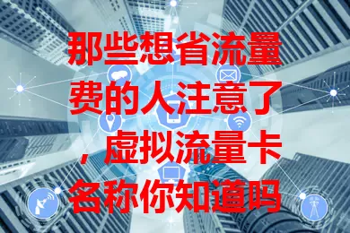 那些想省流量费的人注意了，虚拟流量卡名称你知道吗？