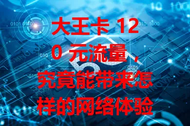 大王卡 120 元流量，究竟能带来怎样的网络体验？