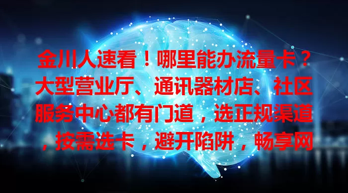 金川人速看！哪里能办流量卡？大型营业厅、通讯器材店、社区服务中心都有门道，选正规渠道，按需选卡，避开陷阱，畅享网络便利！