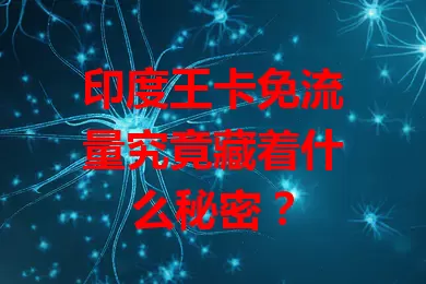 印度王卡免流量究竟藏着什么秘密？