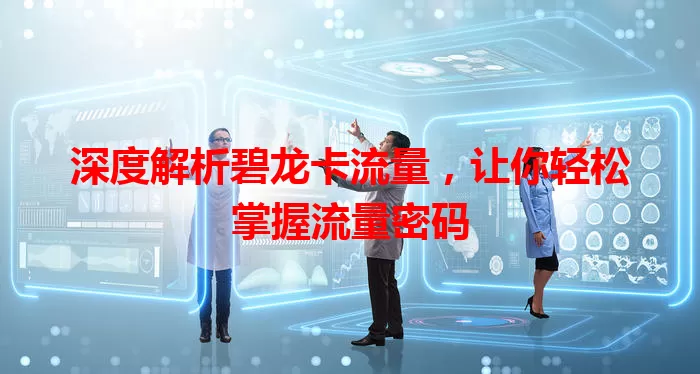 深度解析碧龙卡流量，让你轻松掌握流量密码