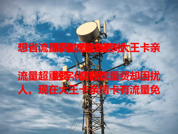 想省流量费的看过来！大王卡亲情卡流量免费啦

数字化时代流量超重要，高额流量费却困扰人。现在大王卡亲情卡有流量免费福利，家庭沟通、追剧学习都不愁流量，能尽情享受数字化便利，超实用！