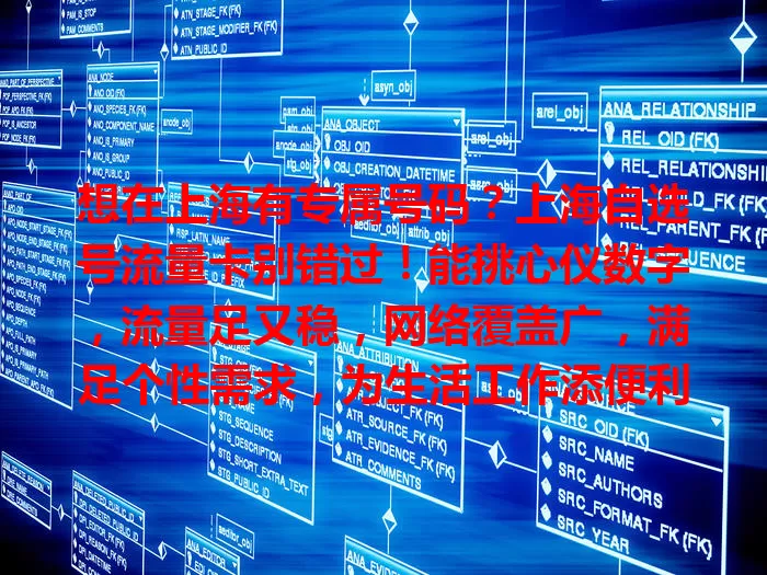 想在上海有专属号码？上海自选号流量卡别错过！能挑心仪数字，流量足又稳，网络覆盖广，满足个性需求，为生活工作添便利乐趣！