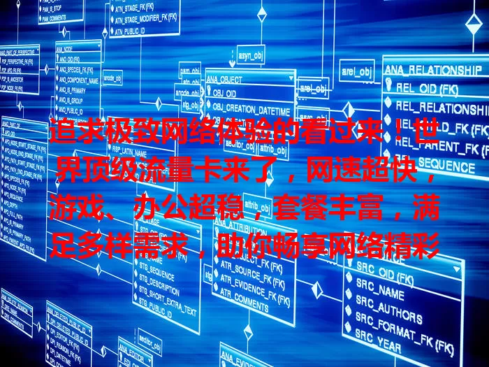 追求极致网络体验的看过来！世界顶级流量卡来了，网速超快，游戏、办公超稳，套餐丰富，满足多样需求，助你畅享网络精彩
