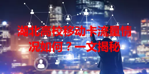 湖北高校移动卡流量情况如何？一文揭秘