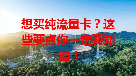 想买纯流量卡？这些要点你一定要知道！