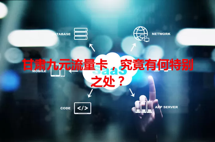 甘肃九元流量卡，究竟有何特别之处？