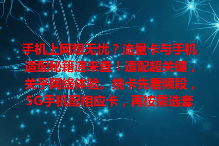 手机上网想无忧？流量卡与手机适配秘籍速来查！适配超关键，关乎网络体验。挑卡先看频段，5G手机配相应卡，再按需选套餐。适配不当有问题，自查设置，不行找客服，选对卡畅享移动网络生活