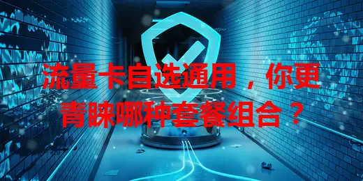 流量卡自选通用，你更青睐哪种套餐组合？