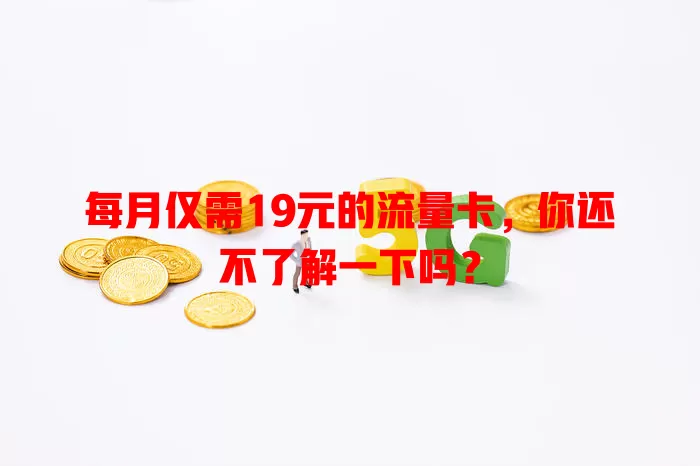 每月仅需19元的流量卡，你还不了解一下吗？