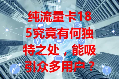 纯流量卡185究竟有何独特之处，能吸引众多用户？