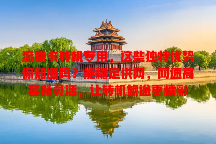 流量卡转机专用，这些独特优势你知道吗？能稳定供网，网速高套餐灵活，让转机旅途更精彩
