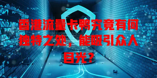 香港流量卡鸭究竟有何独特之处，能吸引众人目光？
