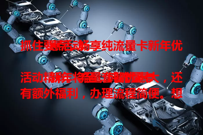 抓住要点，畅享纯流量卡新年优惠活动

新年将至，纯流量卡活动精彩。流量套餐优惠大，还有额外福利，办理流程简便。想换卡或新入网？这是不容错过的好时机，快关注运营商动态选适合卡，新年畅玩网络！