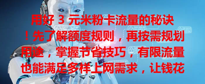 用好 3 元米粉卡流量的秘诀！先了解额度规则，再按需规划用途，掌握节省技巧，有限流量也能满足多样上网需求，让钱花得超值