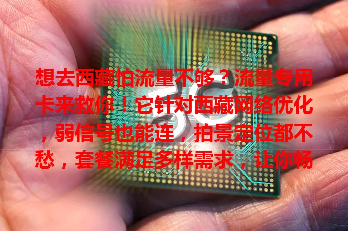 想去西藏怕流量不够？流量专用卡来救你！它针对西藏网络优化，弱信号也能连，拍景定位都不愁，套餐满足多样需求，让你畅游无忧！