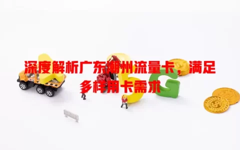 深度解析广东潮州流量卡，满足多样用卡需求