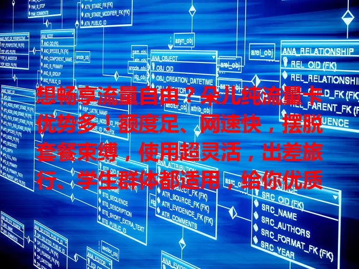 想畅享流量自由？朵儿纯流量卡优势多！额度足、网速快，摆脱套餐束缚，使用超灵活，出差旅行、学生群体都适用，给你优质流量体验！