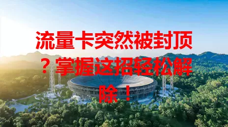 流量卡突然被封顶？掌握这招轻松解除！