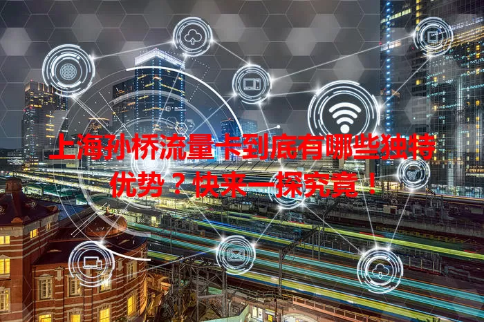 上海孙桥流量卡到底有哪些独特优势？快来一探究竟！