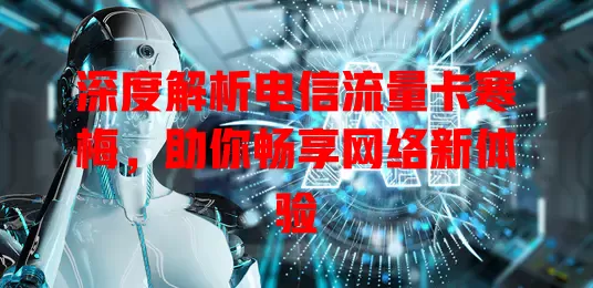 深度解析电信流量卡寒梅，助你畅享网络新体验
