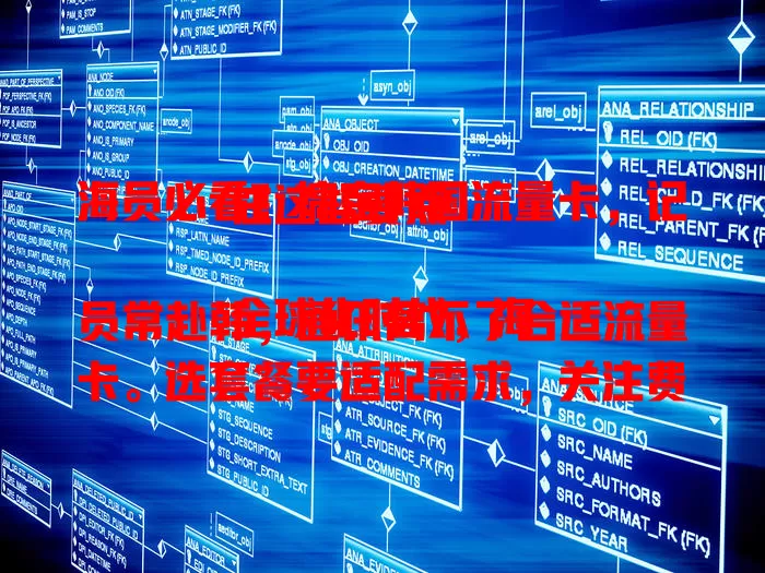 海员必看！搞定韩国流量卡，记住这些要点

全球化时代，海员常赴韩，通讯离不了合适流量卡。选套餐要适配需求，关注费用有效期，重视服务质量。综合考量这些要点，轻松搞定，让航行更顺利 。