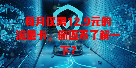 每月仅需12.9元的流量卡，你还不了解一下？