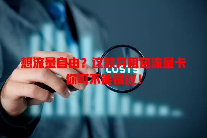 想流量自由？这款月租包流量卡你可不能错过！