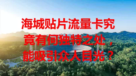 海城贴片流量卡究竟有何独特之处，能吸引众人目光？