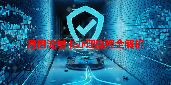 月租流量卡办理流程全解析