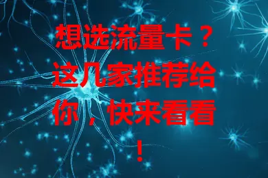 想选流量卡？这几家推荐给你，快来看看！