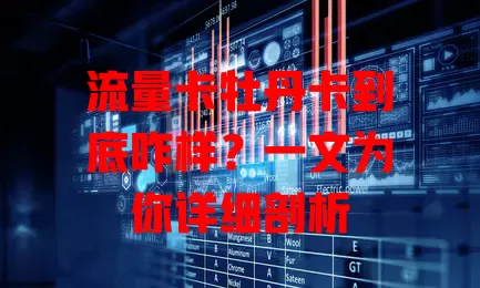 流量卡牡丹卡到底咋样？一文为你详细剖析