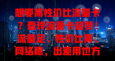 想要高性价比流量卡？春玲流量卡超赞！流量足、性价比高、网络稳，出差用也方便，别错过这优质体验！