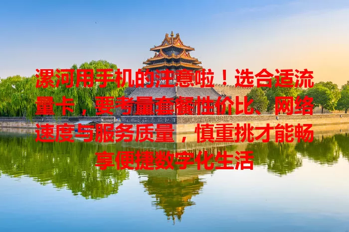 漯河用手机的注意啦！选合适流量卡，要考量套餐性价比、网络速度与服务质量，慎重挑才能畅享便捷数字化生活