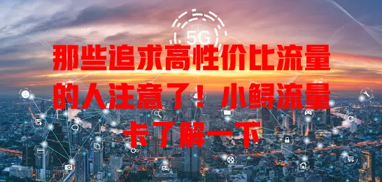 那些追求高性价比流量的人注意了！小鲟流量卡了解一下