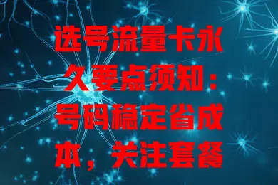 选号流量卡永久要点须知：号码稳定省成本，关注套餐与网络，合规使用更顺畅