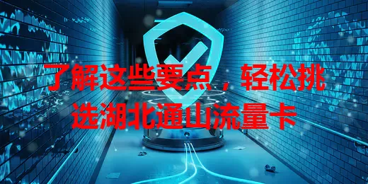 了解这些要点，轻松挑选湖北通山流量卡