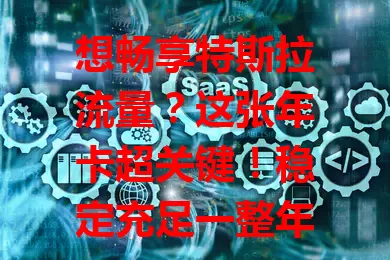 想畅享特斯拉流量？这张年卡超关键！稳定充足一整年，数字化时代必备，让你告别流量焦虑，尽享智能出行精彩！