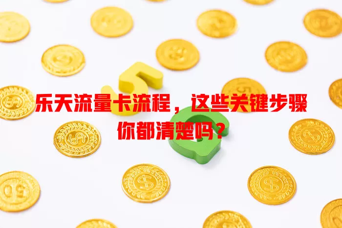乐天流量卡流程，这些关键步骤你都清楚吗？