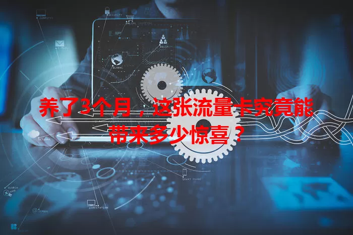 养了3个月，这张流量卡究竟能带来多少惊喜？