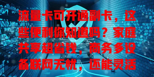 流量卡可开通副卡，这些便利你知道吗？家庭共享超省钱，商务多设备联网无忧，还能灵活备用，满足多样需求